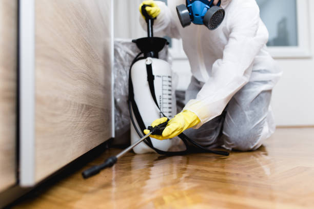 Best Emergency Pest Control  in Baker, LA
