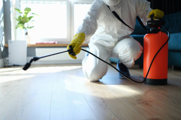 Best Flea Control Services  in Baker, LA
