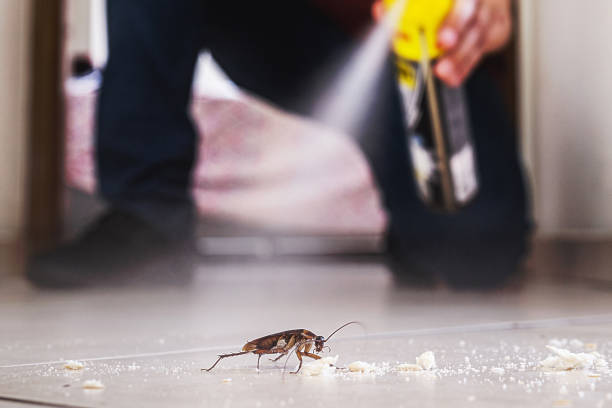 Best Pest Removal Services  in Baker, LA